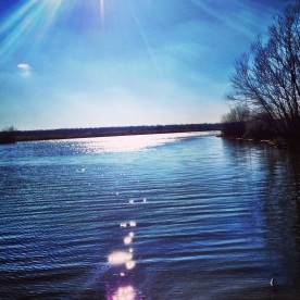 light speckled waters (Shelby Farms)