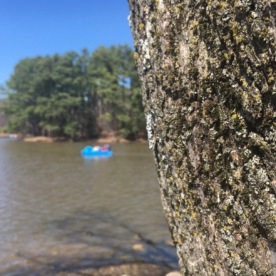 big tree, little boat (Shelby Farms Park)